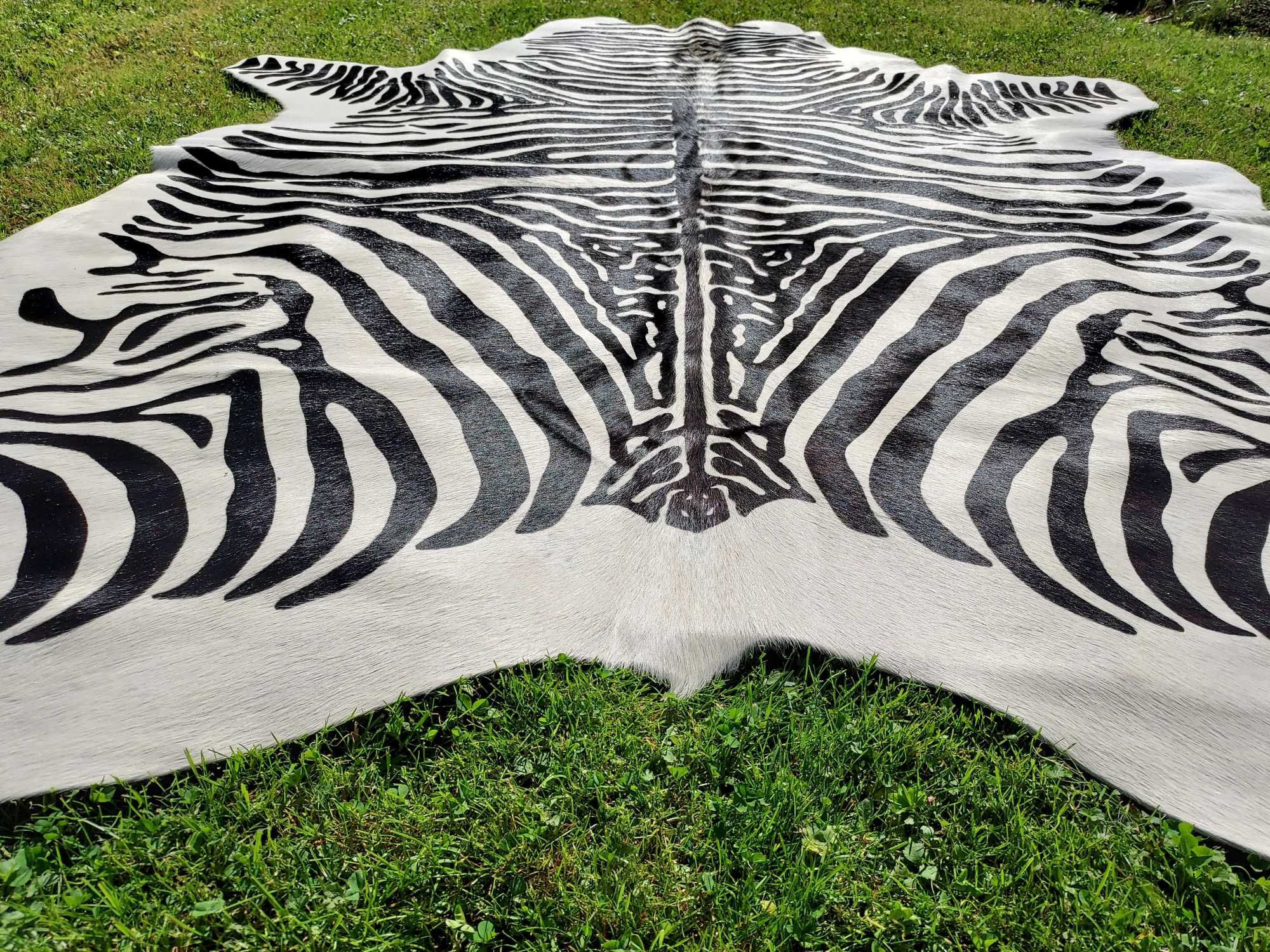 Skóra z Zebry Dywan Skóra Naturalna Zebra Skóra Bydlęca Wzór Zebry