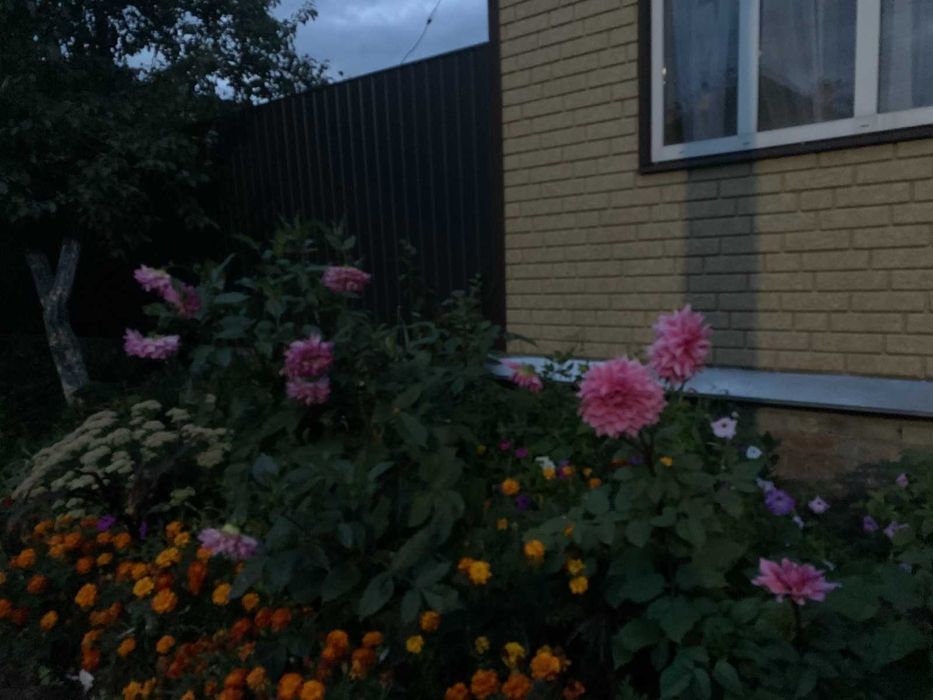 Будинок в с.Авдіївка Новгород-Сіверський район