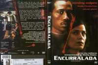 Dvd Encurralada (liberty stands still)