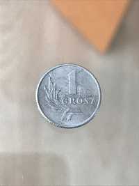 Moneta prl 1 grosz 1949r.