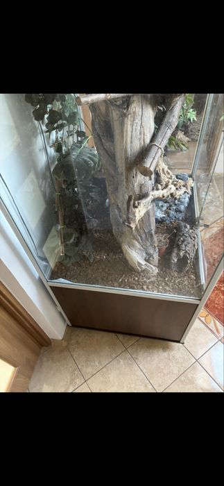 Duże terrarium 80/100/180 dla Węża Legwana itp ki