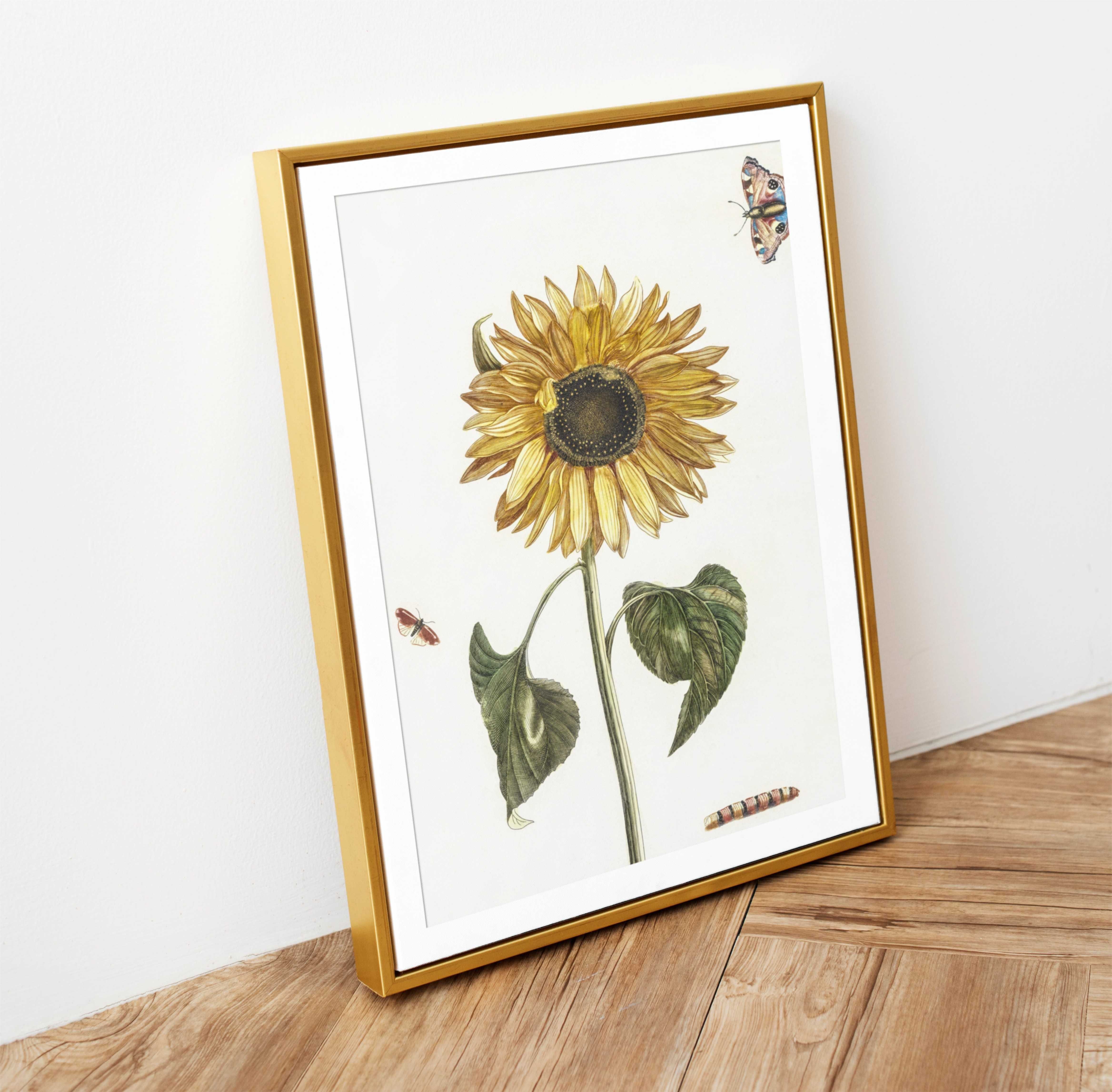 Plakat A3 A sunflower - Obraz kwiaty wydruk Teyler#1