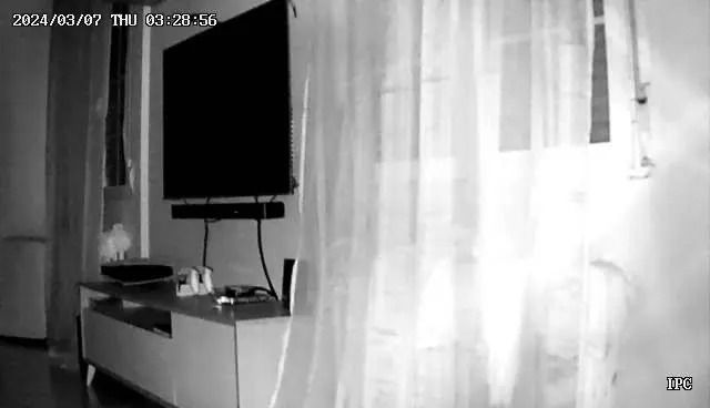 Міні камера, Відеоняня Tuya Smart Life IP Wi-Fi камера нічна зйомка