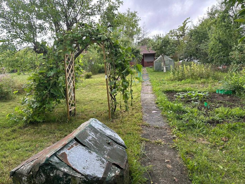 Działka ROD Kwitnących Jabłoni. Jedyna taka 450m2.