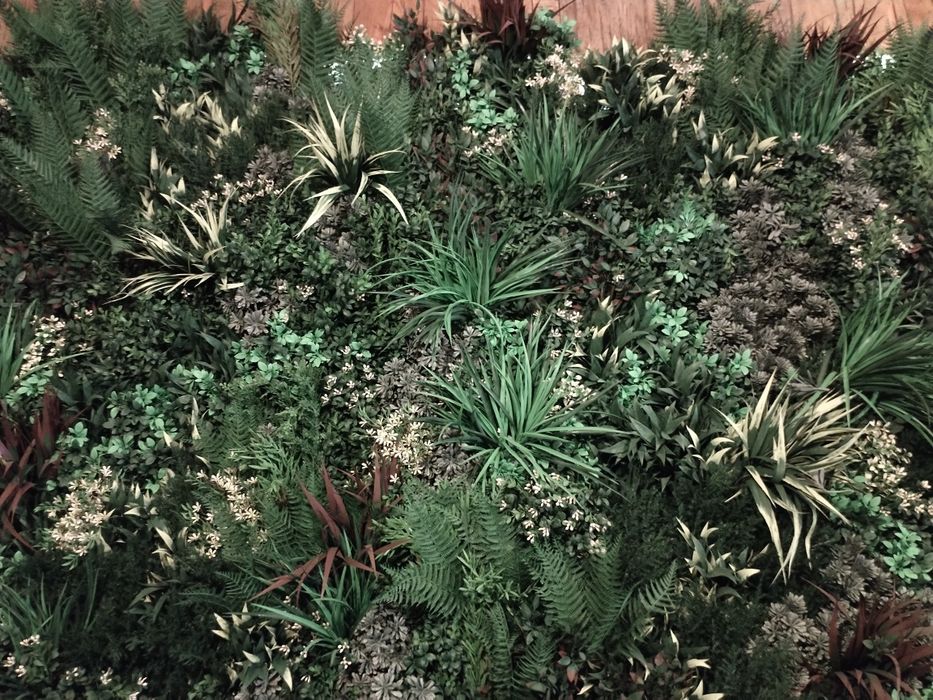 Jardim Vertical de qualidade superior