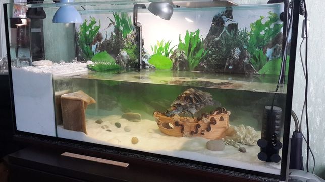 Новый террариум ( аквариум) для черепахи на 197л. Доставка по Украине