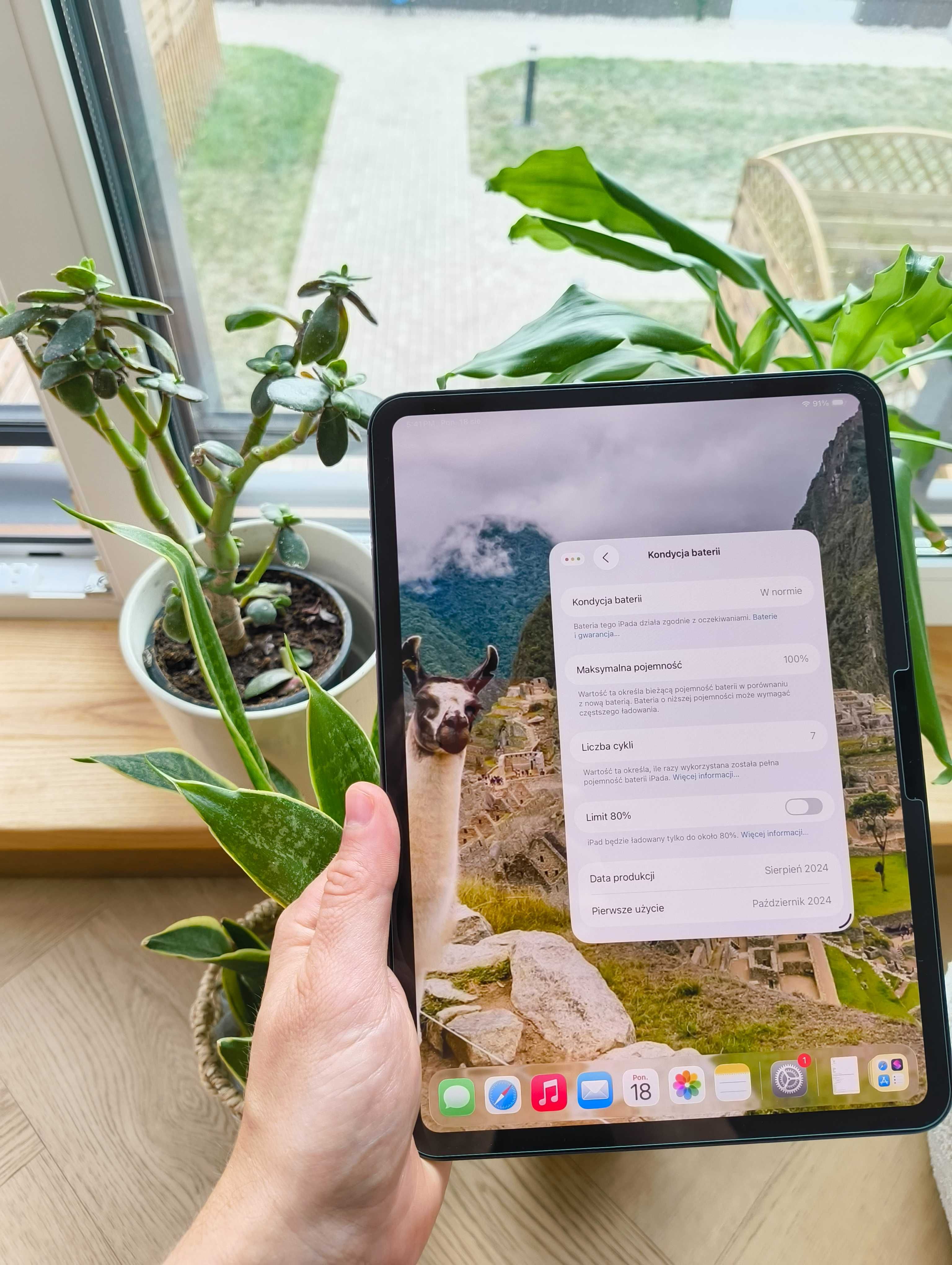 iPad Pro 11" M4, 256 GB, Wi-Fi– najnowsza generacja, stan perfekcyjny!