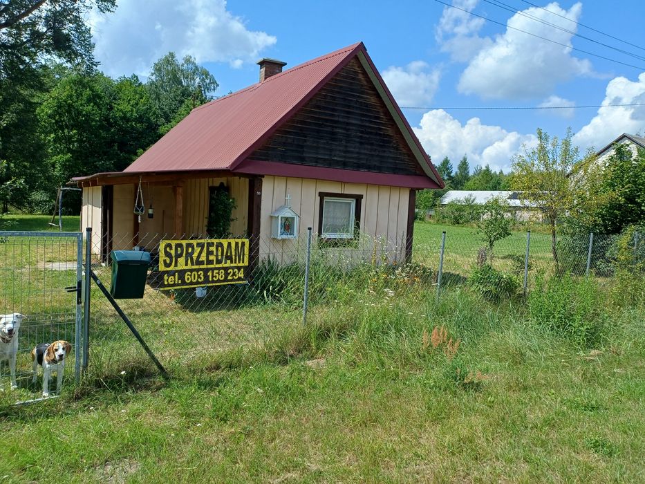 Siedlisko na sprzedaż działka rolna z możliwością zabudowy i leśna