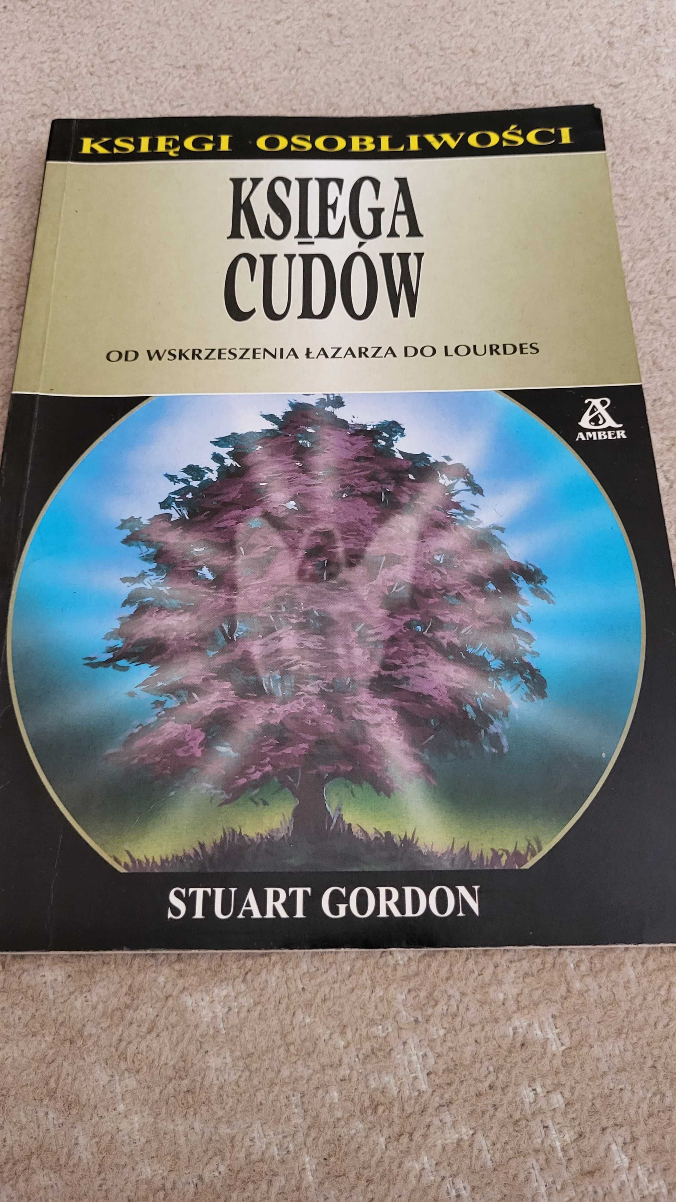 Księga cudów Gordon Stuart