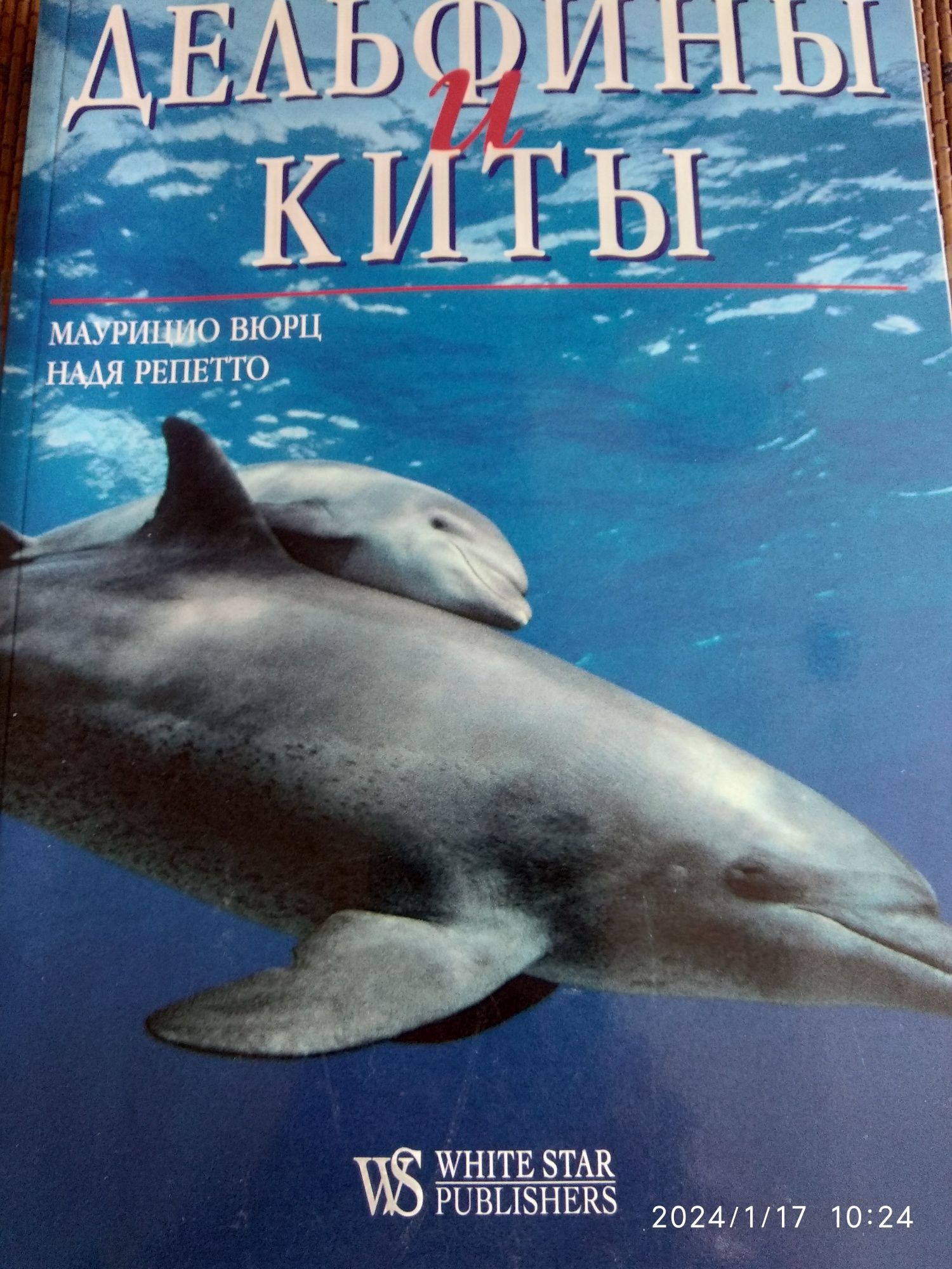 Книга Акула, дельфины, киты