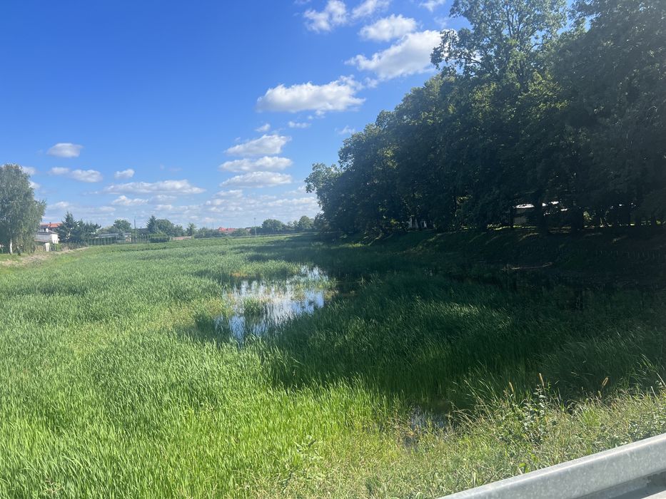 Koszenie trzciny odmulanie wykaszanie oczyszczanie zbiorników wodnych