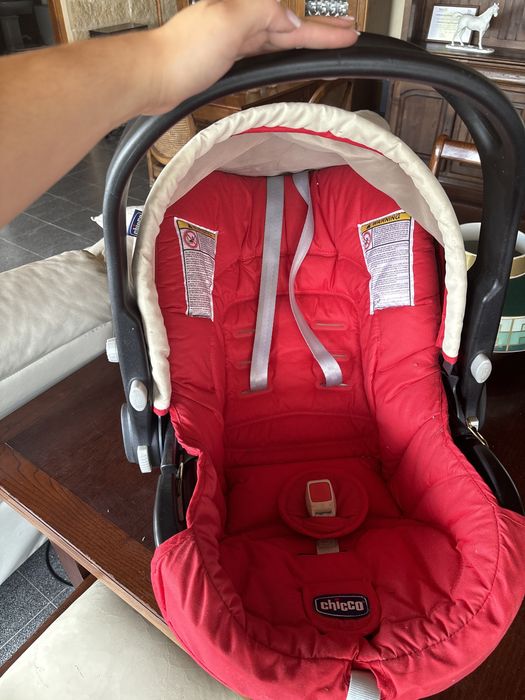 Ovo chicco para bebes