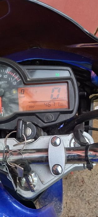 Musstang region 150-8