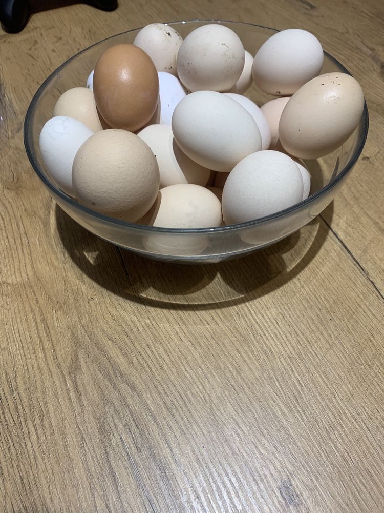 Jaja jajka swojskie kurze