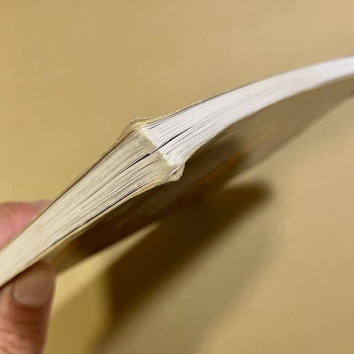 Gestapo anatomia systemu - Igor Witkowski