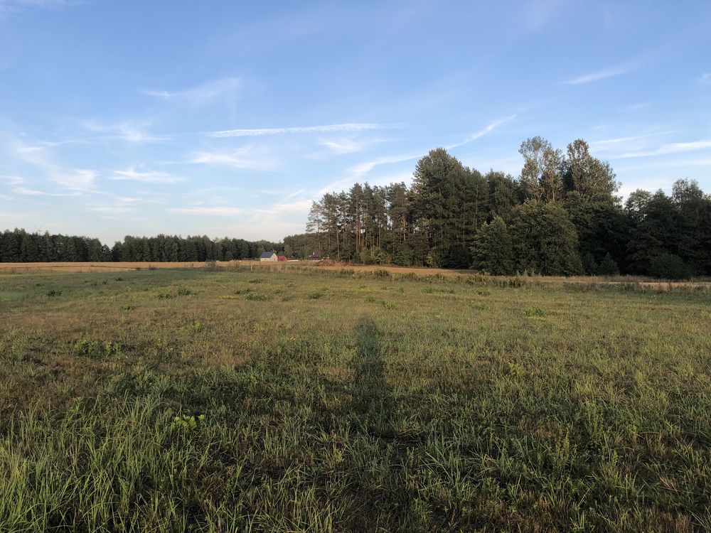 Działka budowlana-siedliskowa nad jez. Jemieliste - 3000 m2