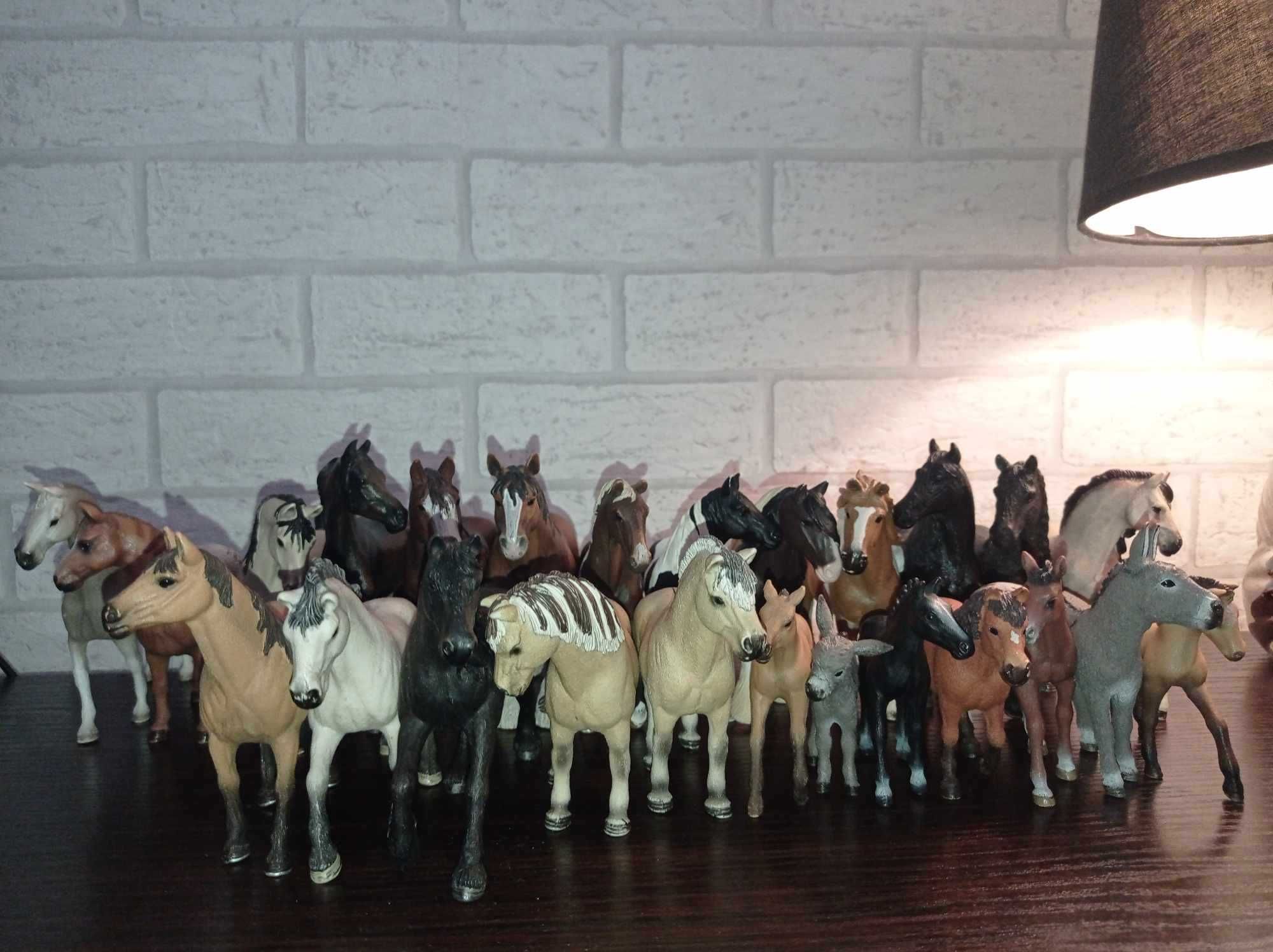 Konie marki schleich i collecta