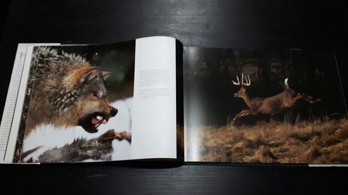 Livro de fotografias a vida selvagem