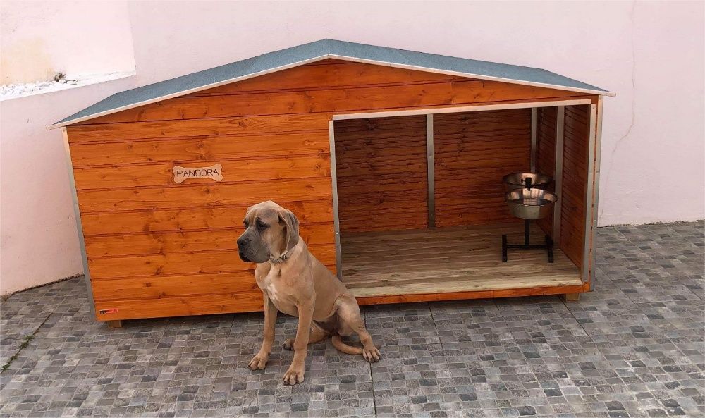 Casotas MSWood - Modelo Pandora para cães grandes/médios/pequenos