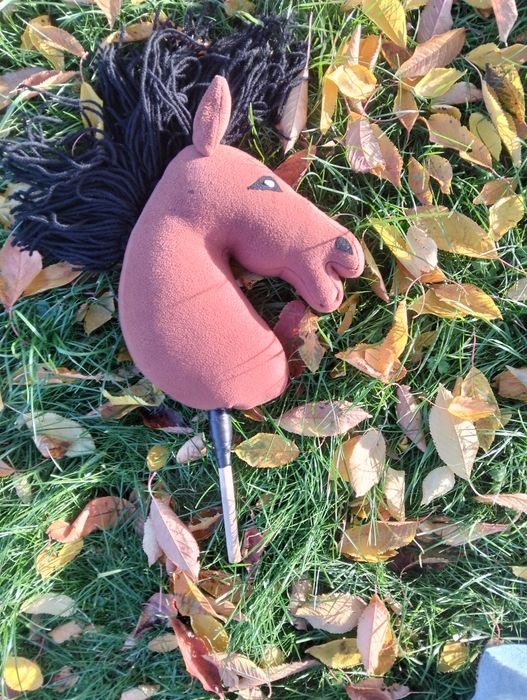 Hobby horse (pilne) cena do negocjacji