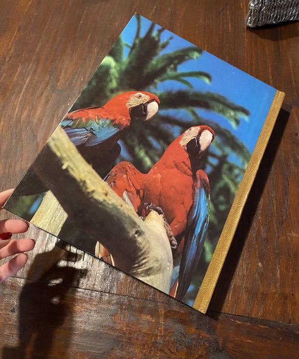 Enciclopédia da Vida Animal