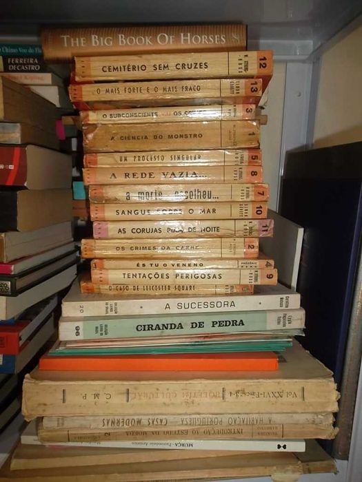 Literatura diversa nacional e estrangeira preços a partir de 1EUR cada