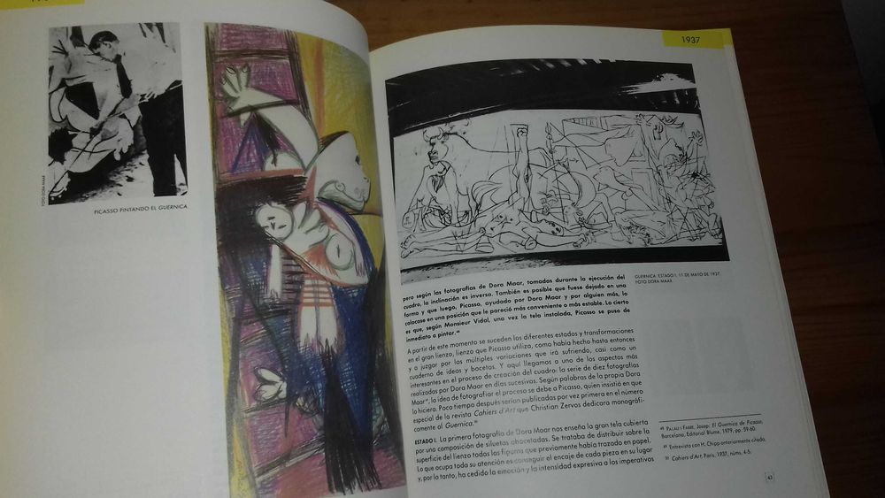Conjunto de 2 livros Picasso Guernica