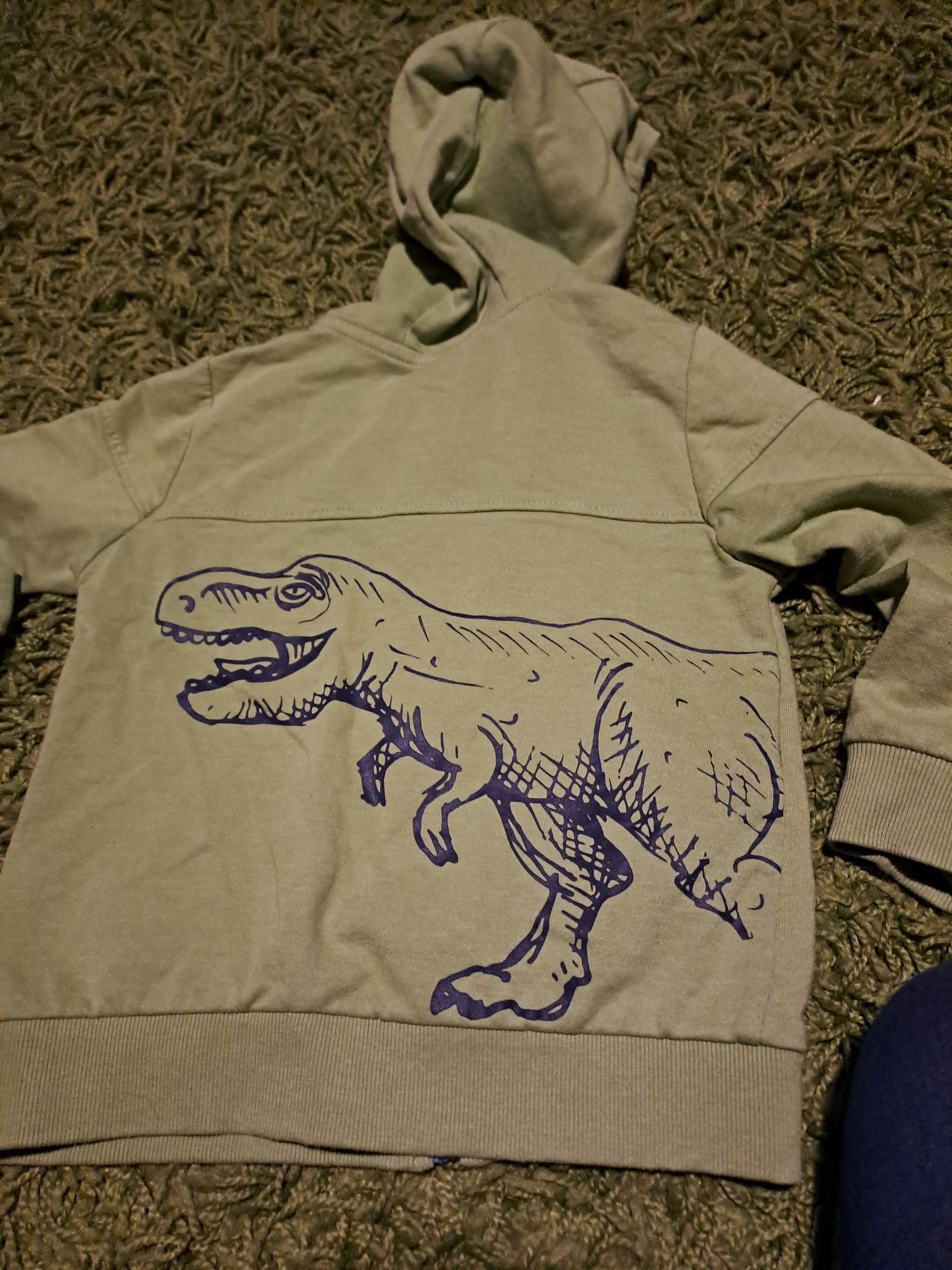 Bluza bluzy 104 dinozaur tomek i przyjaciele