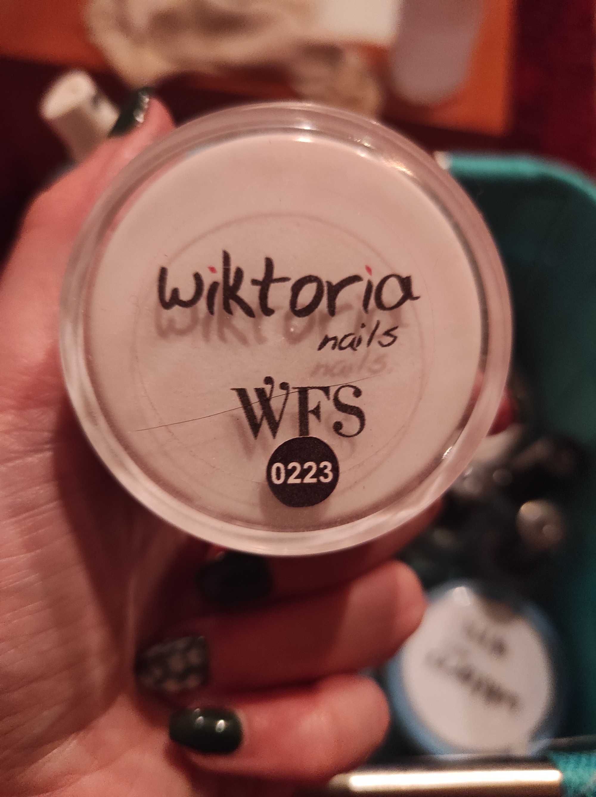 Produtos de imersão em pó wiktoria nails