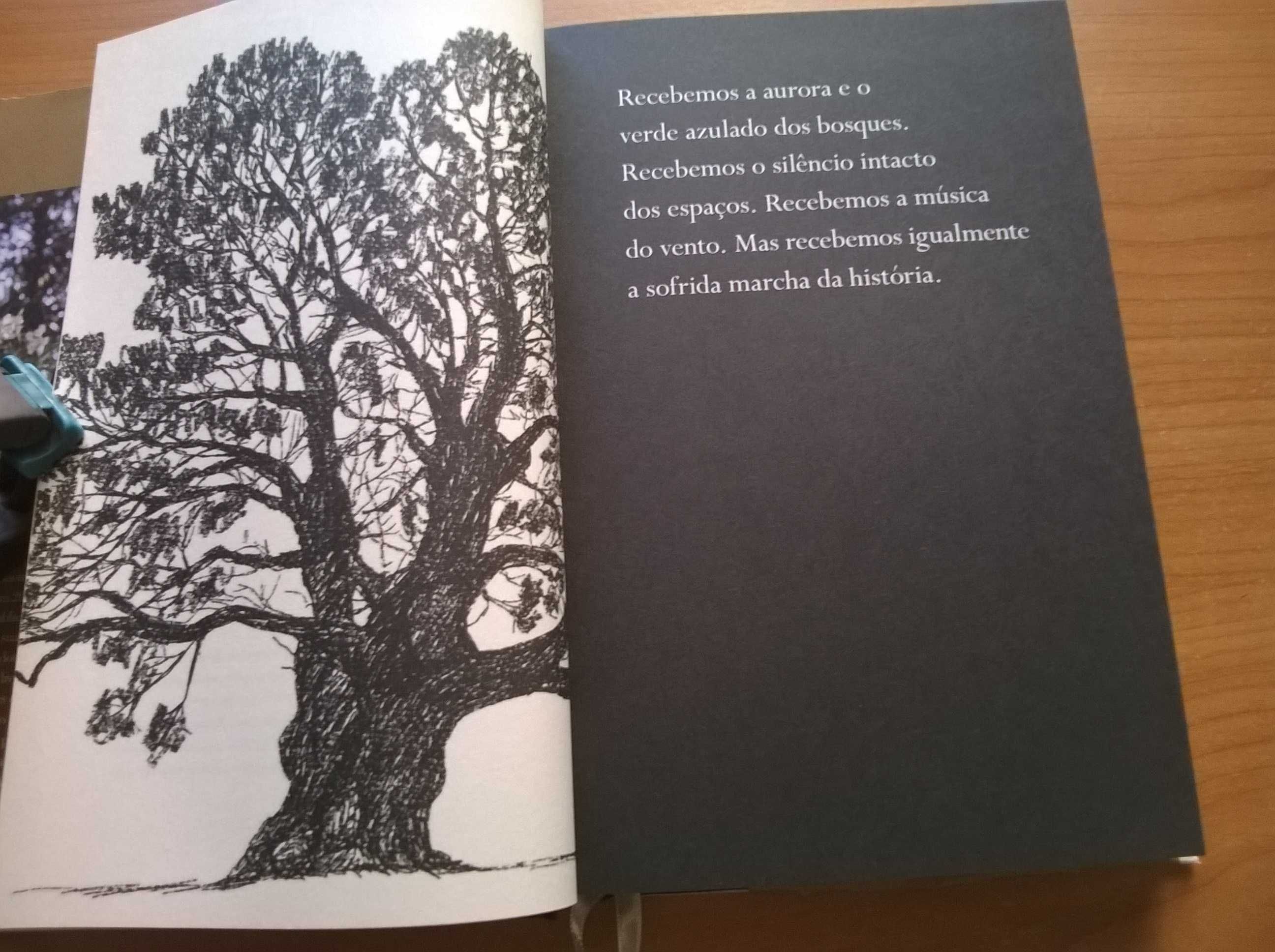 Rezar de Olhos Abertos - José Tolentino Mendonça
