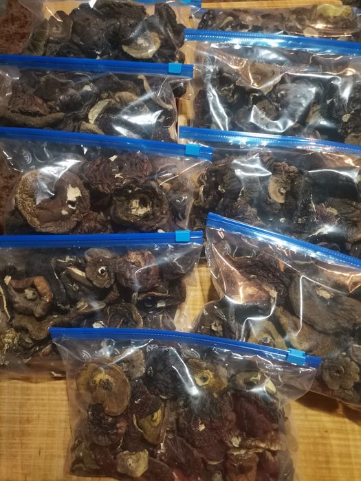 Grzyby suszone naturalnie nad piecem Podgrzybki kapelusze