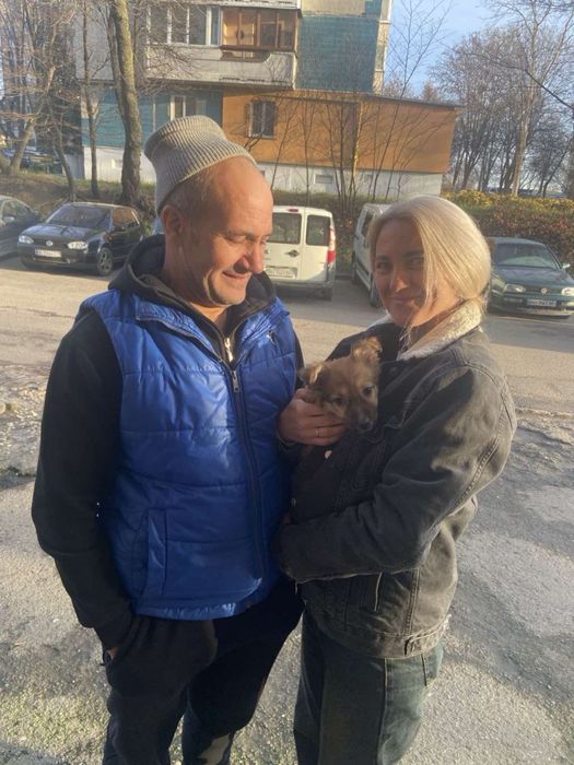 Візьміть маленьке чудо в дім! Хлопчики та дівчатка є