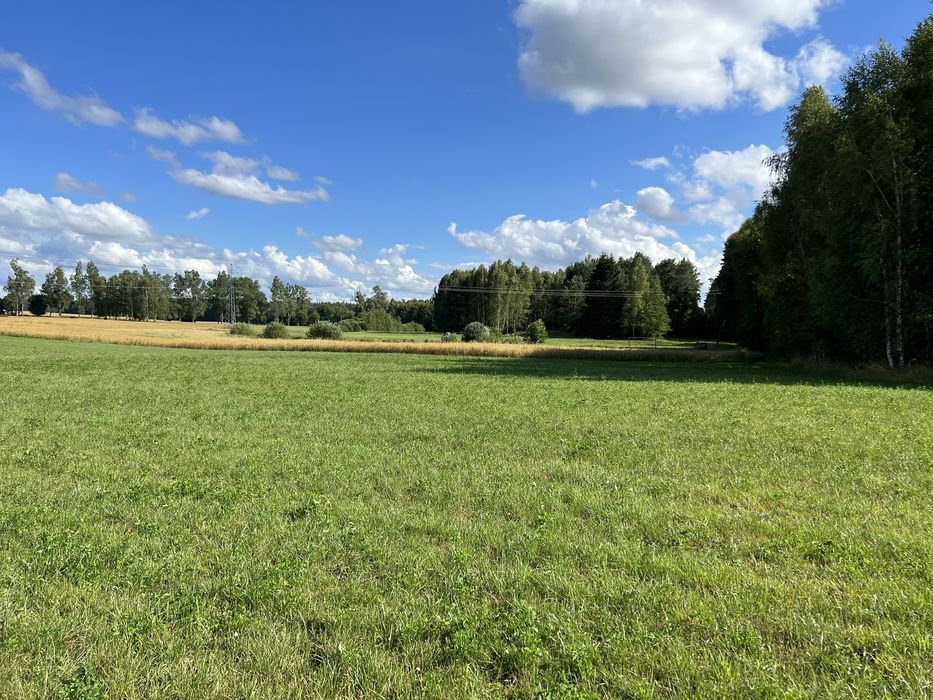 Działka rolno-siedliskowa na Warmii
