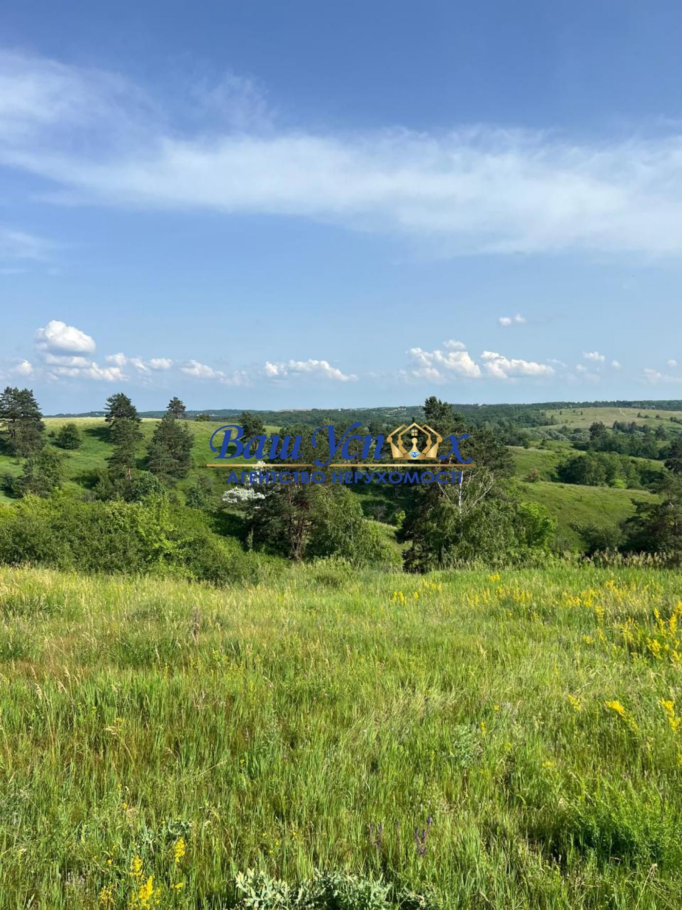 Продаж земли сільгосппризначення  Школьная , село Ходосовка