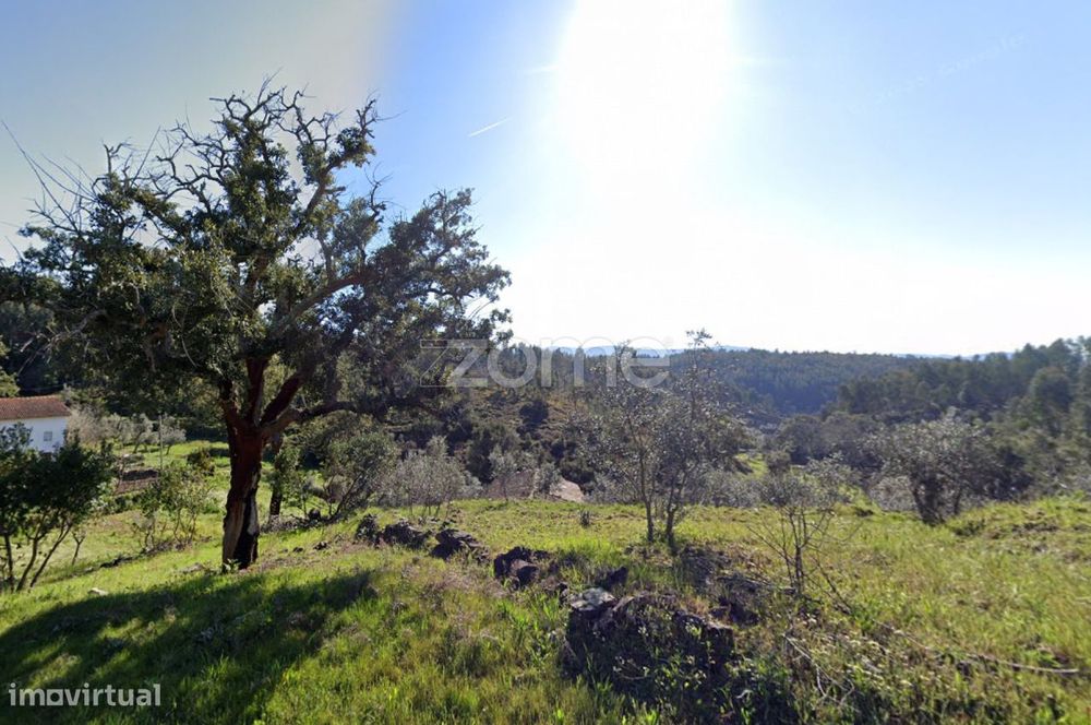 Terreno de 4992m2 com ruína em pedra na Sertã