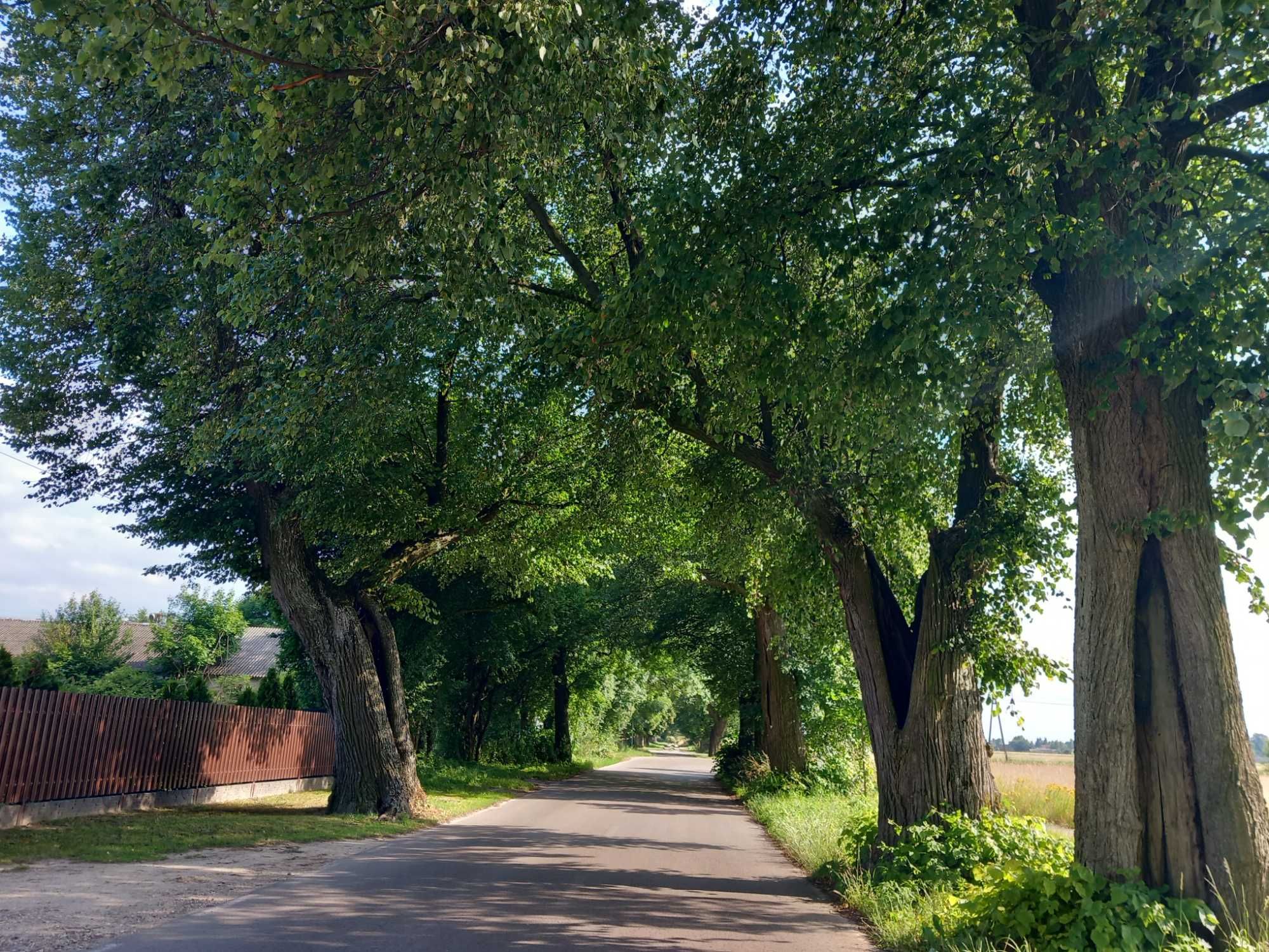 Dom na końcu wsi. Wieczór panieński, praca zdalna, balia, sauna