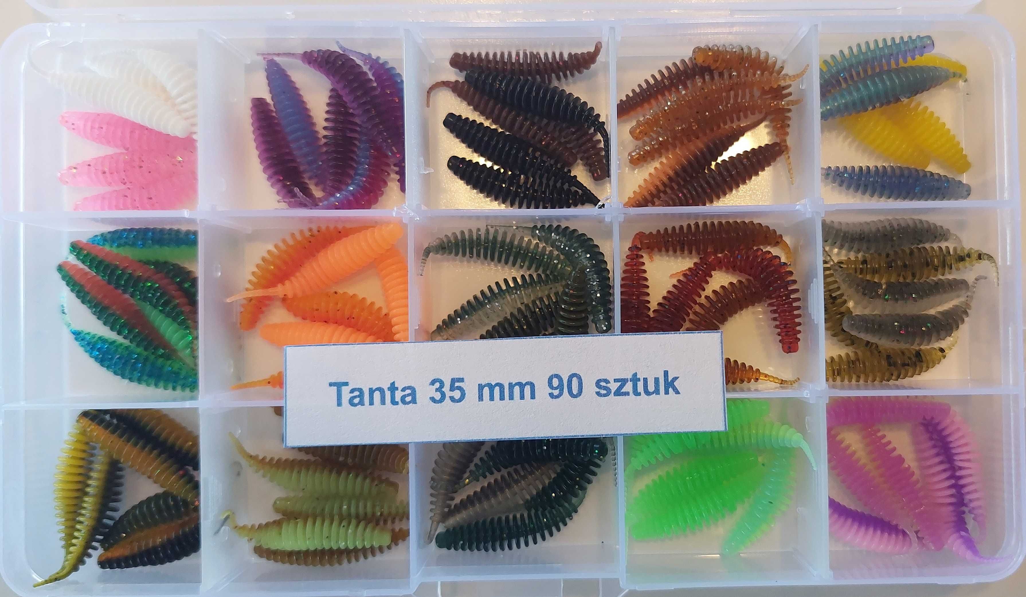 Tanta BIG box (460 sztuk) - 5 pudełek (2.5 - 5 cm) #zestaw