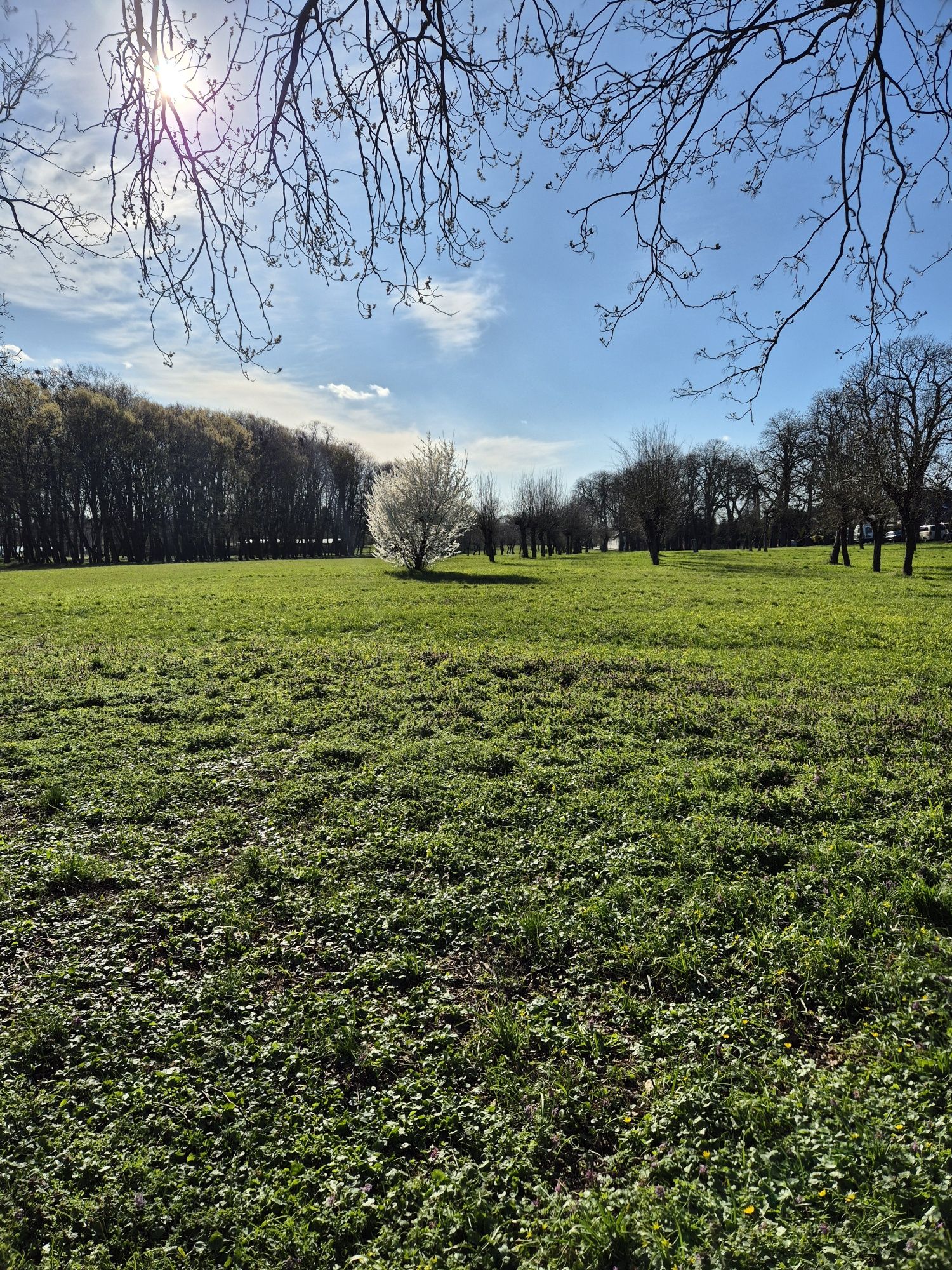 Baza wypadowa lubelskie, stawy, park