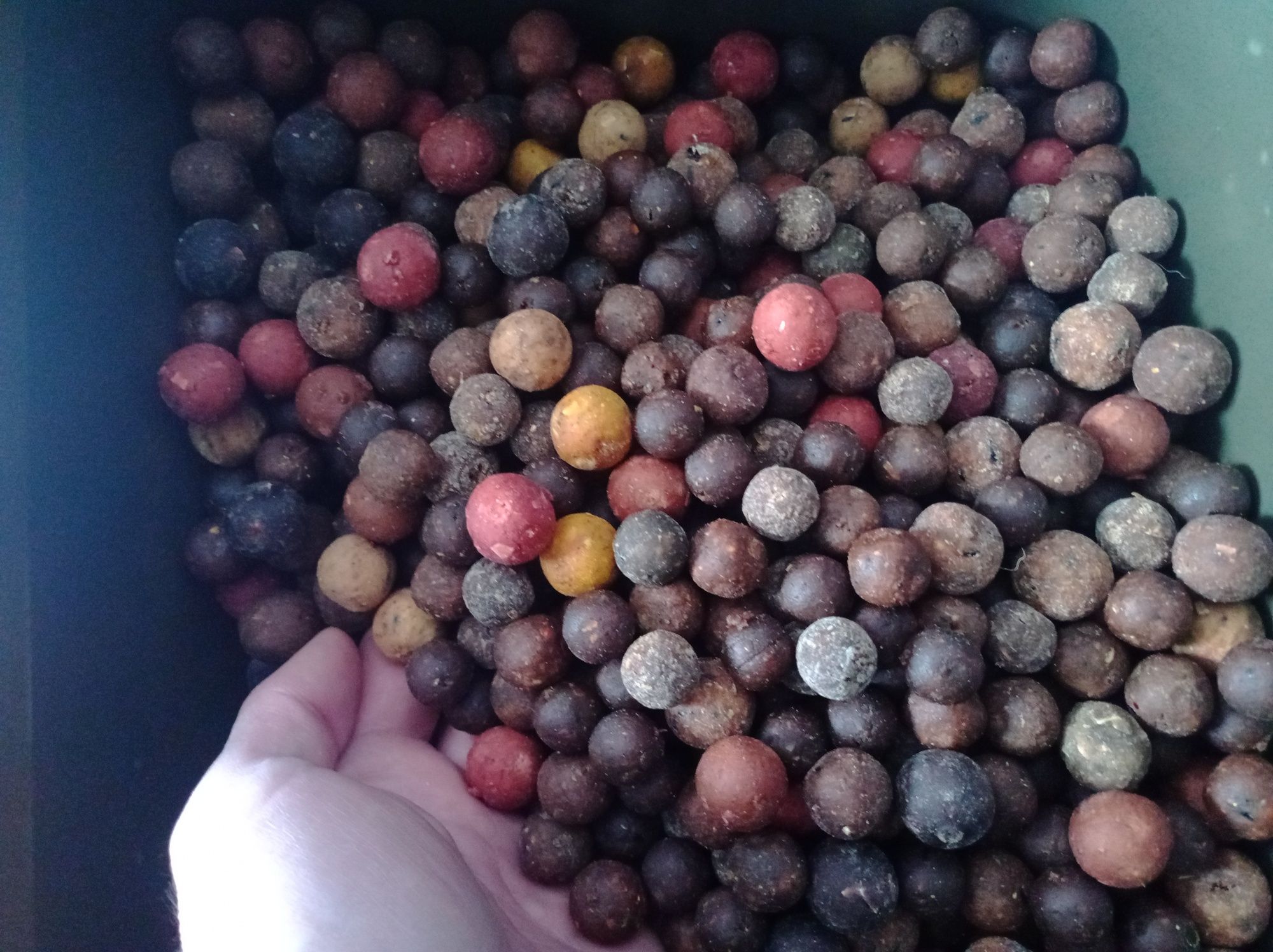 Kulki zanętowe proteinowe 15-20 mm smak śmierdziel -10kg