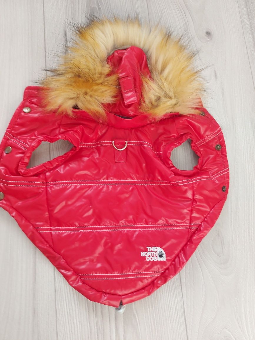 Glam&Rock Puppy Kurtka z Kapturem Alaska 40cm - czerwona.  Dla psa.