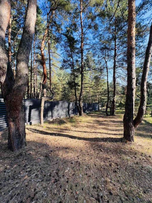 Участок Обуховка катеджный поселок Сосновый Берег лес река