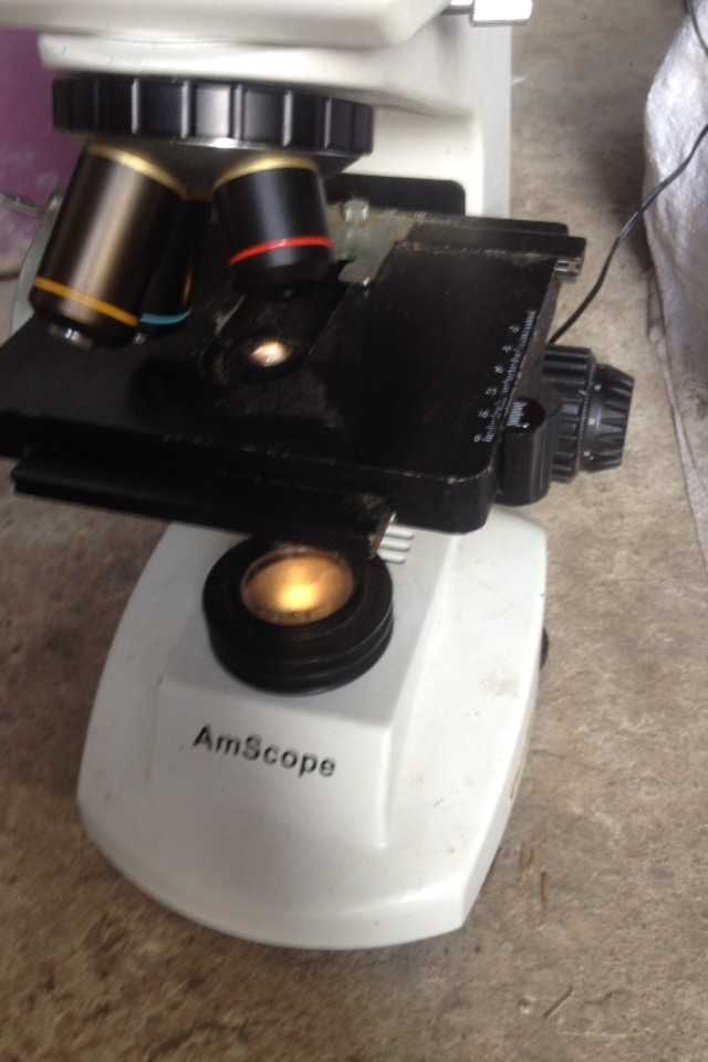 AmScope мікроскоп лабораторний .Lомо і причан далі