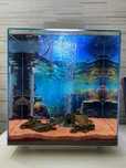 Aquário Fluval Edge 2.0 + KIT
