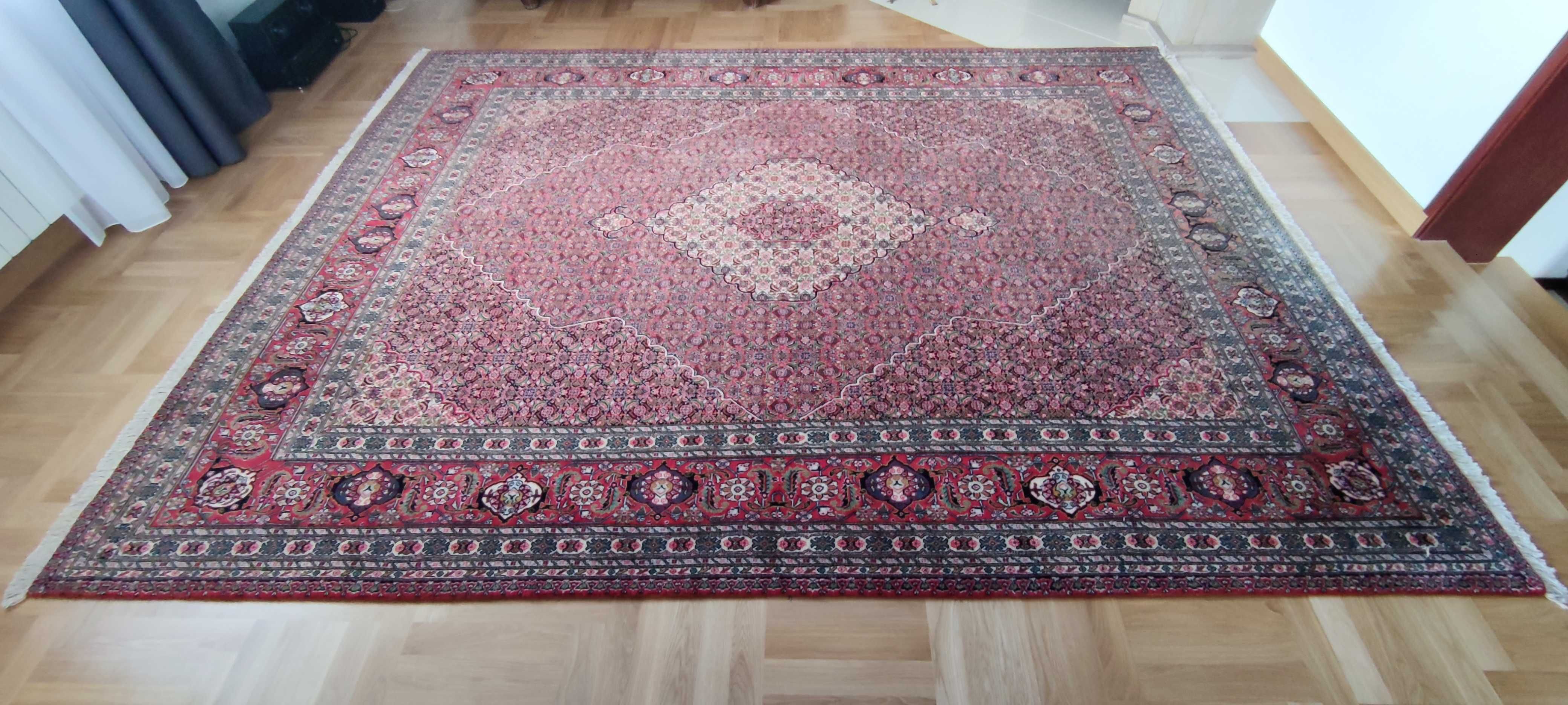 Dywan wełniany Bidjar,Iran.350/260, stan sklepowy