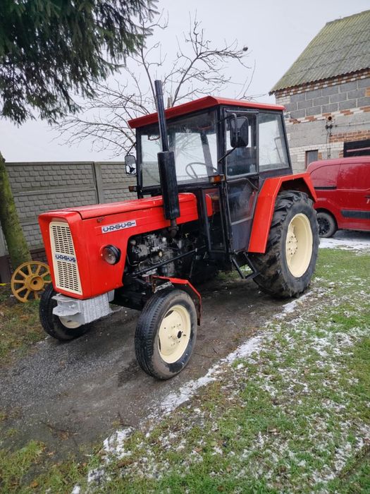 Ursus zarejestrowany