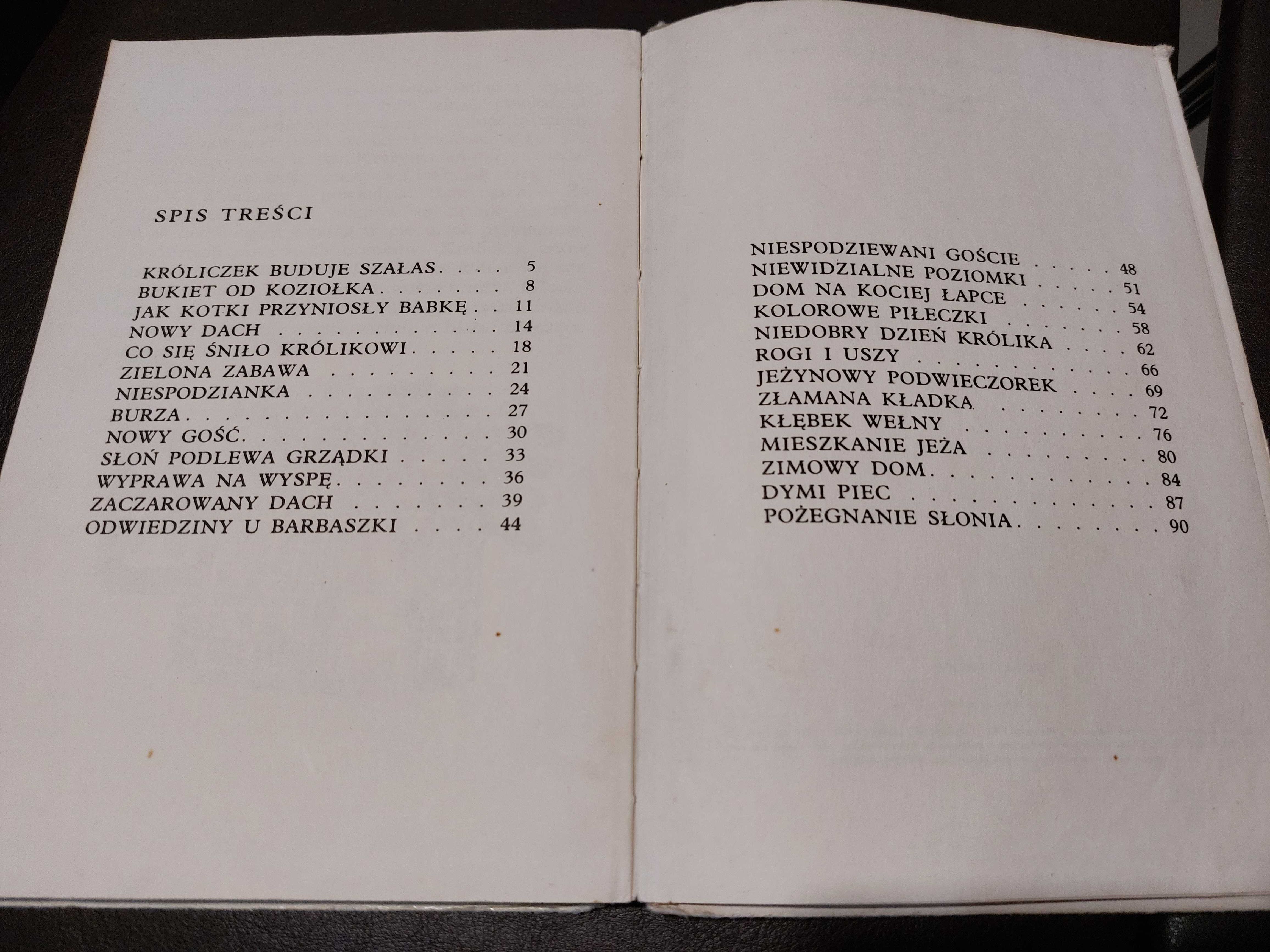 Wesołe lato Bechlerowa Helena 1986