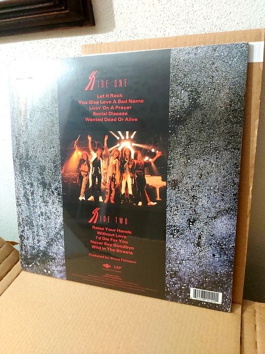 Bon Jovi Slippery when wet vinil edição limitada water filled