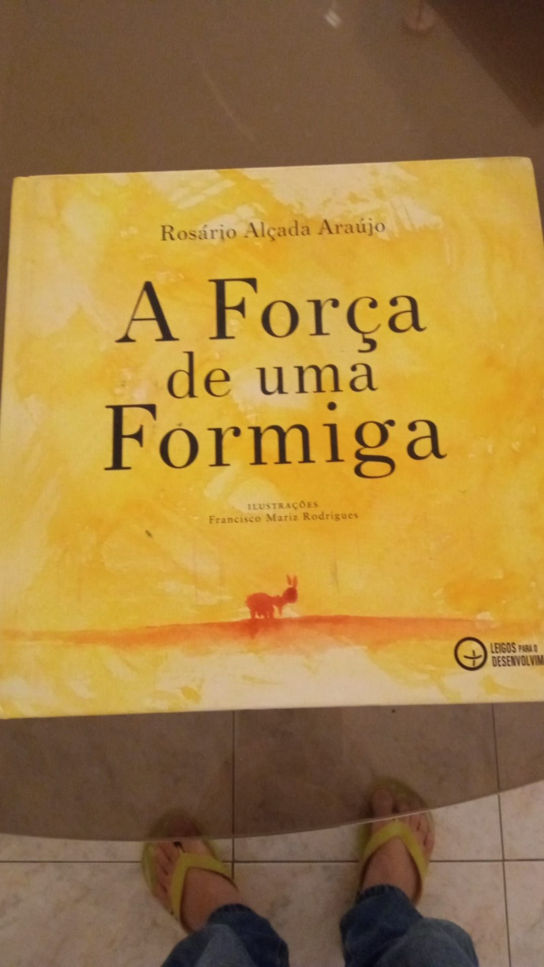 Livros juvenis "a força de uma formiga" e " Letras Caídas"