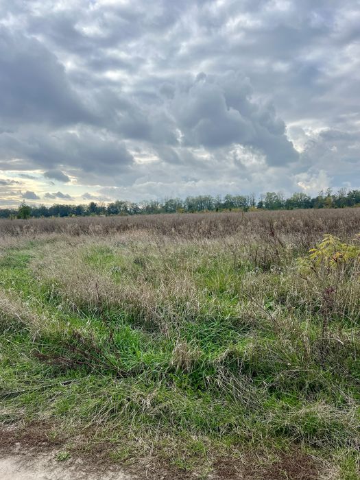 Продаж земельної ділянки в Бохониках!!!