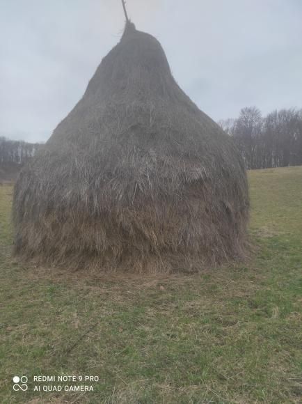 Продається стіг сіна село Старі Бросківці ціна договірна